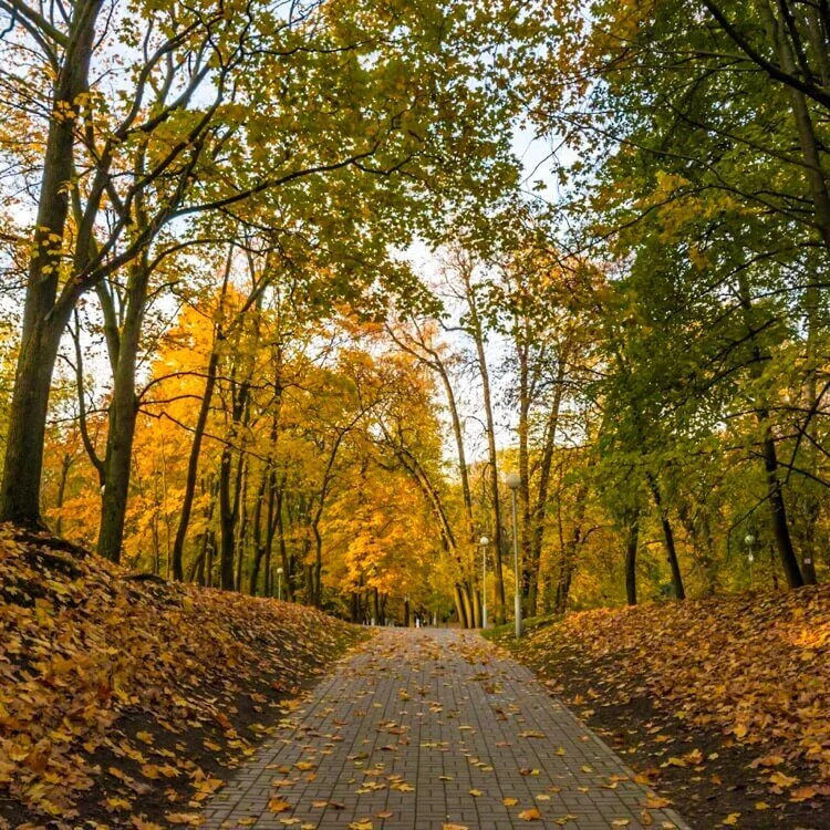 Gorky Park in Minsk, Belarus, in fall.