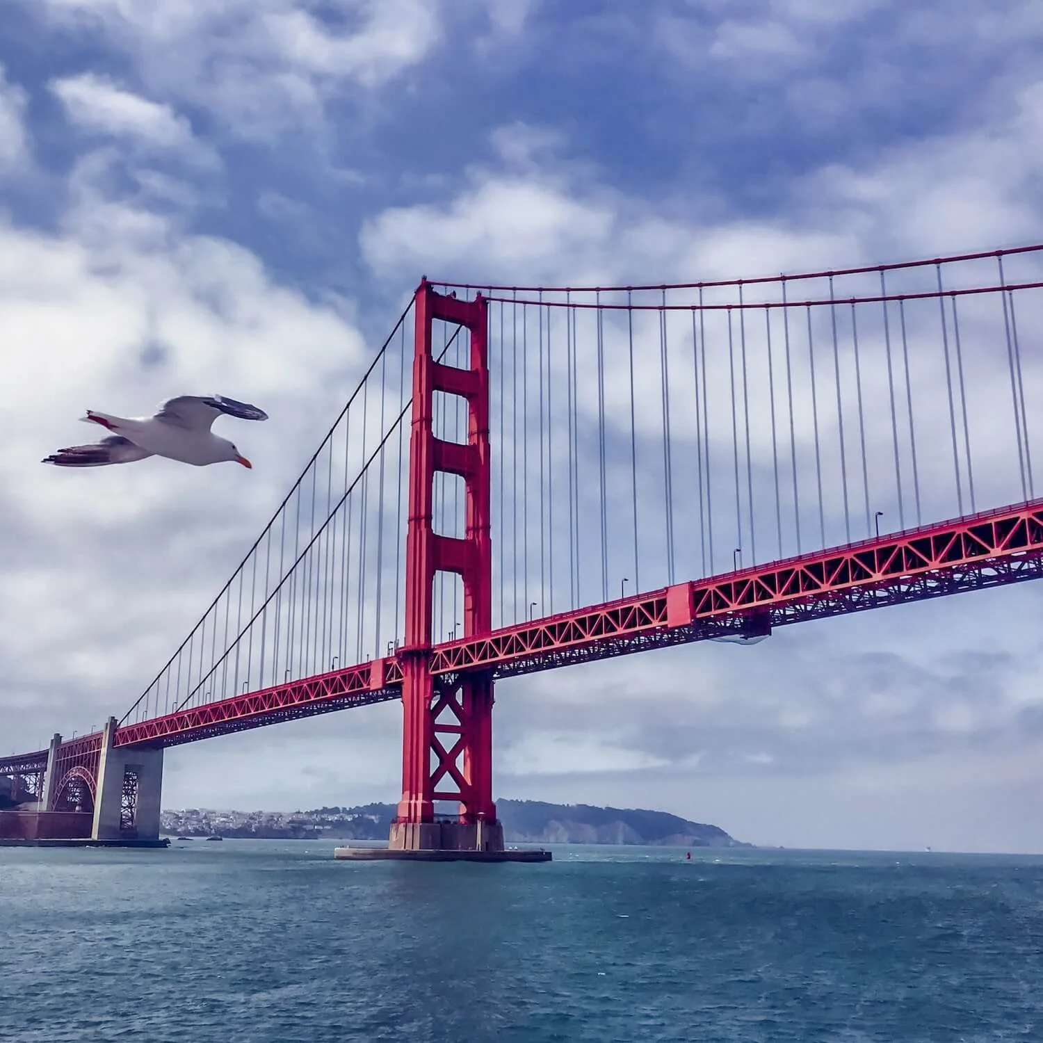 Golden Gate Bridge photographed during a boat tour