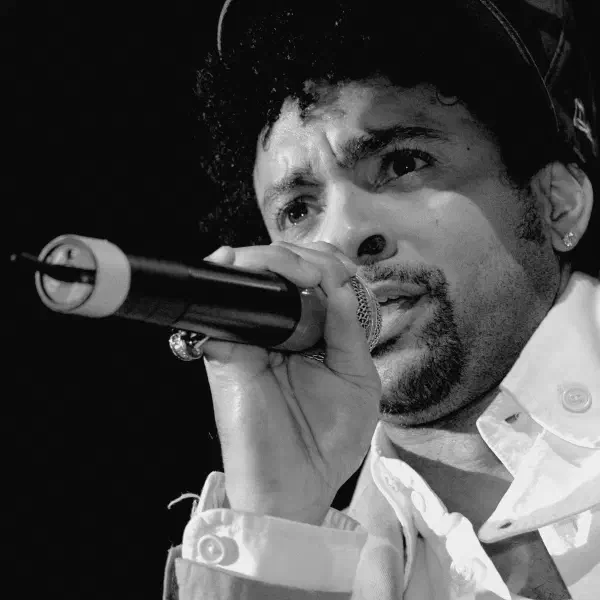 Mr. Boombastic Shaggy at a concert in Vienna, Austria