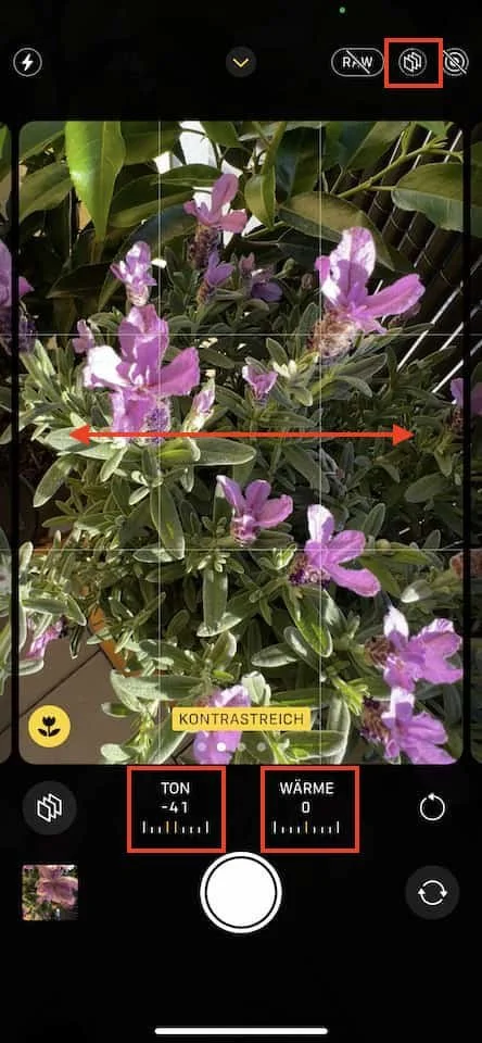 Choosing a photographic style in the iOS15 camera app