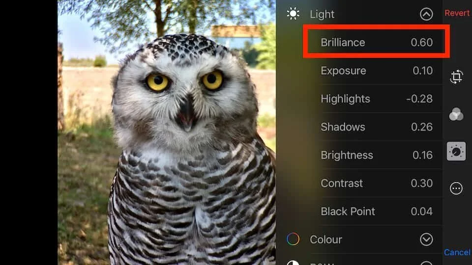 The brilliance adjustment slider is a new adjustment in ios10.