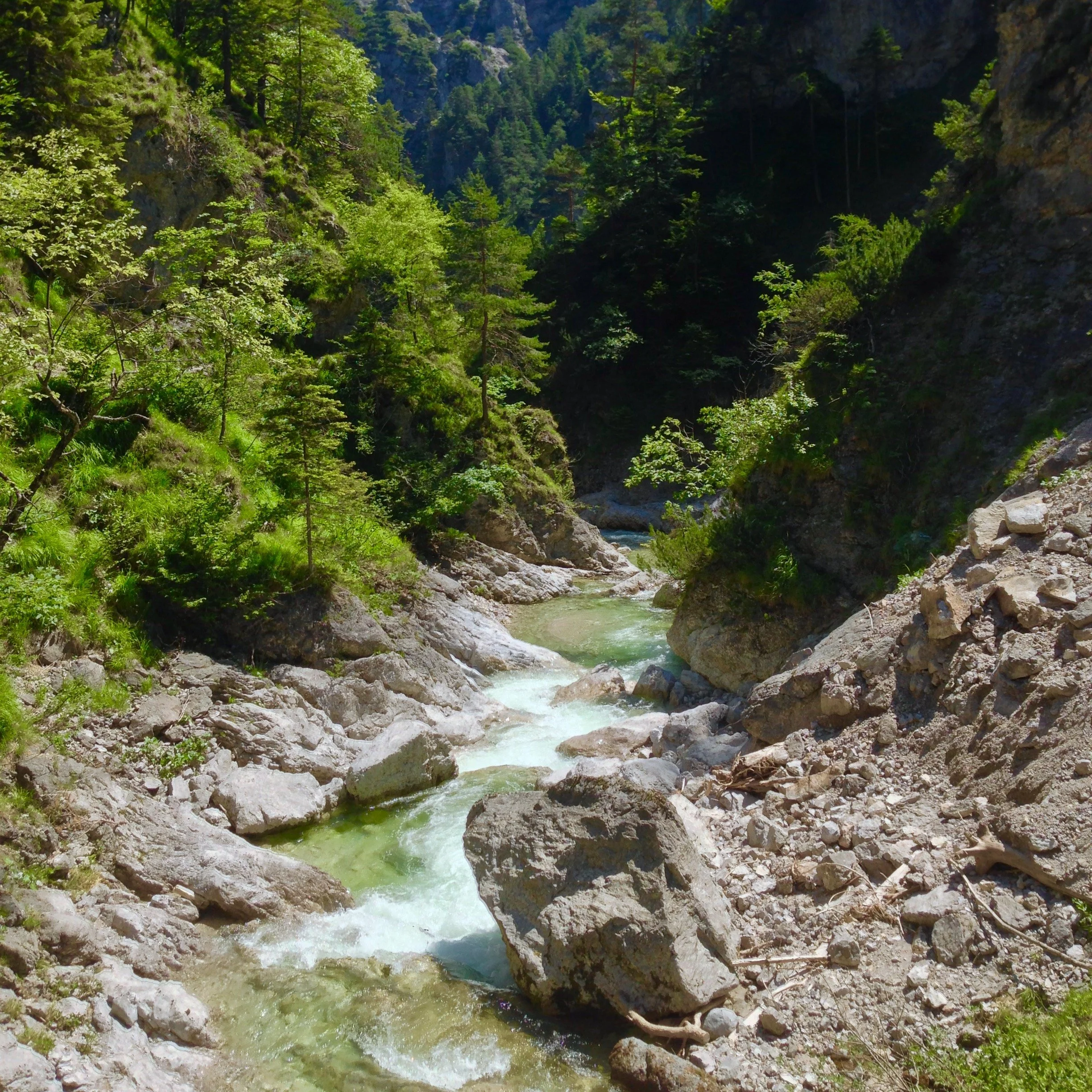Hiking the Ötscher Gorge. A canyon full of photo opportunities