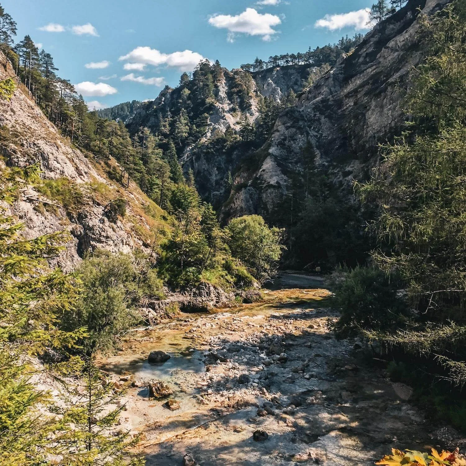 Bottom of the Ötscher Gorge