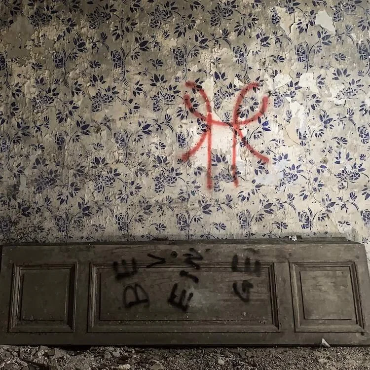 Ancient wallpaper in abandoned castle in Lower Austria