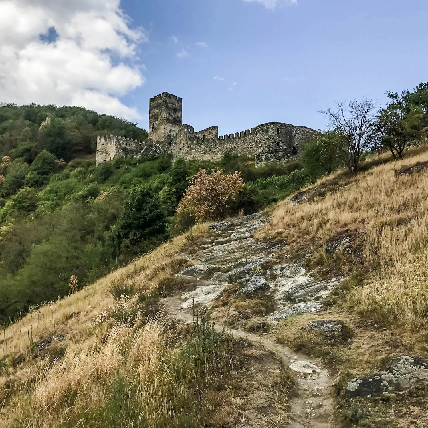 Castle Ruin Hinterhaus