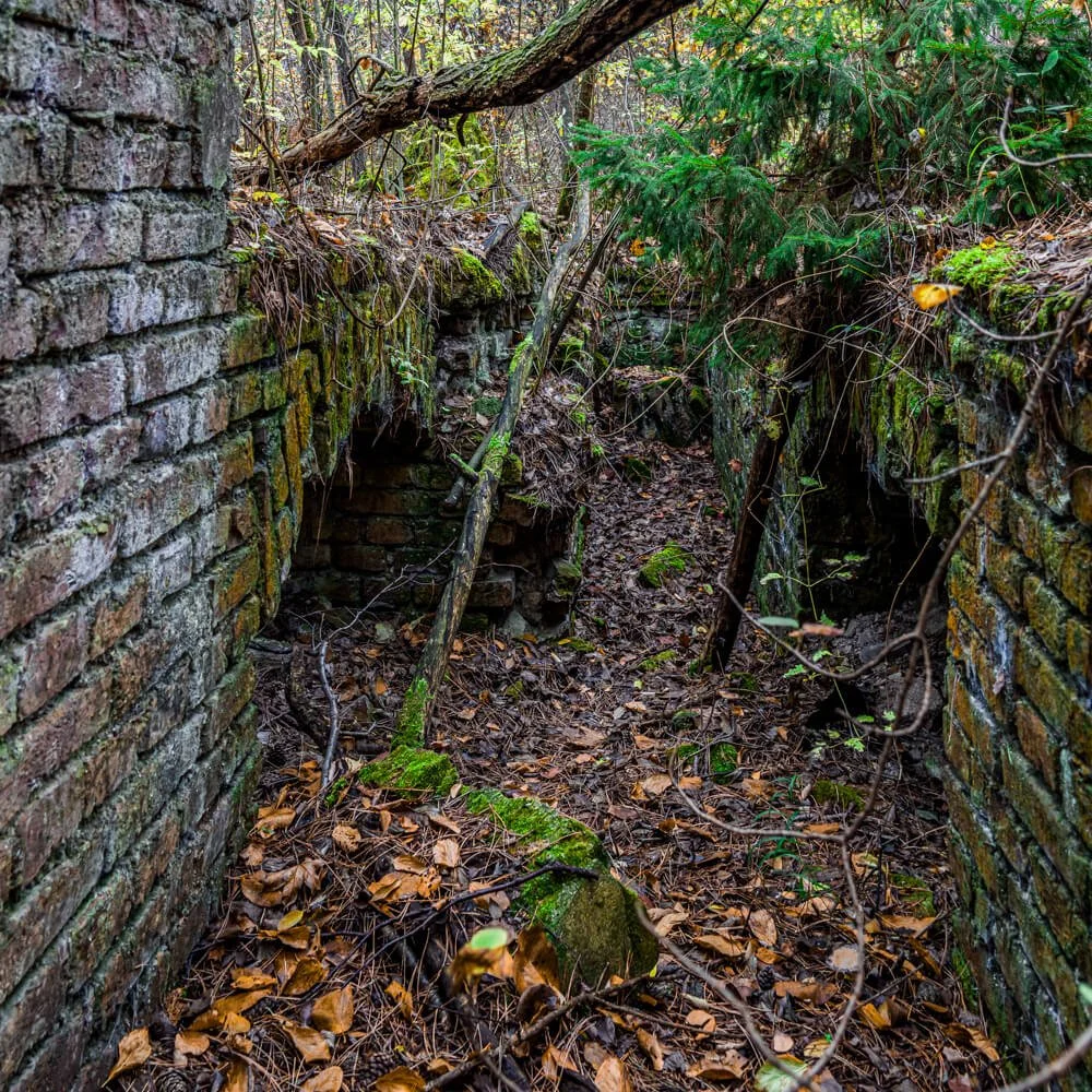 Trench between two WW2 bunkers