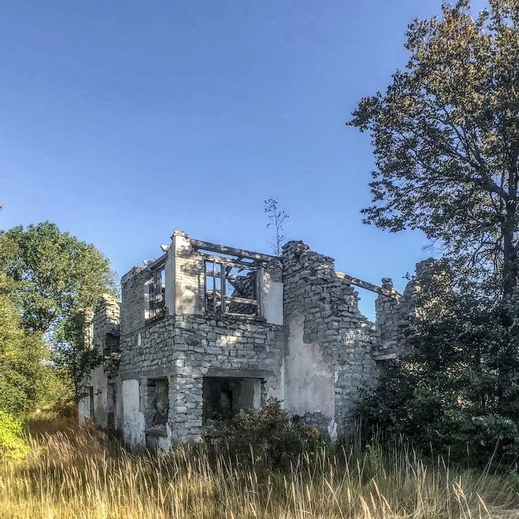 Ruin in Viivikonna