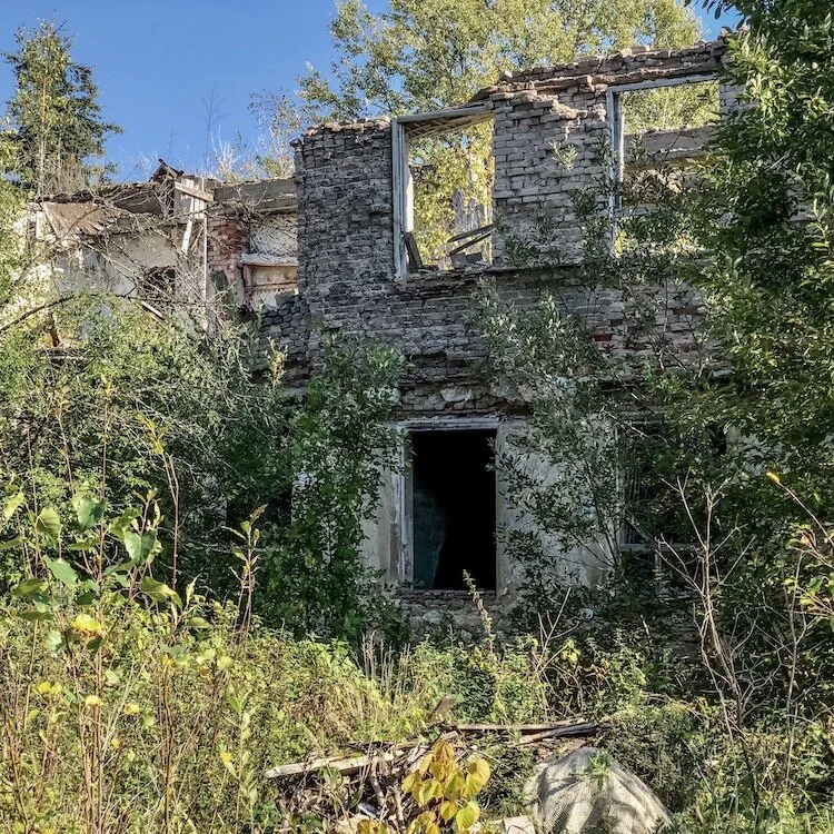 Side building ruin in Viivikonna