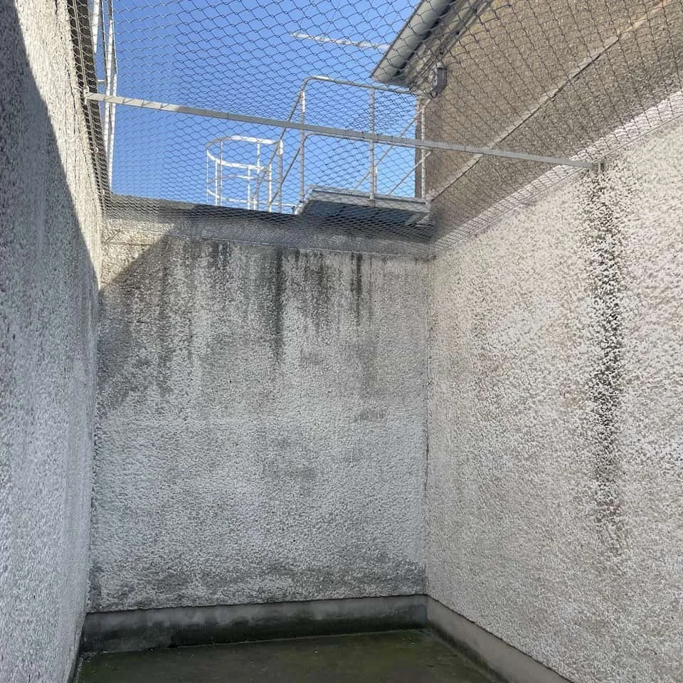 A Tiger Cage in Hohenschoenhausen