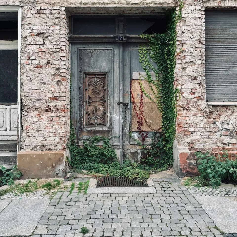 Overgrown door of an abandoned building in Forst-Lausitz