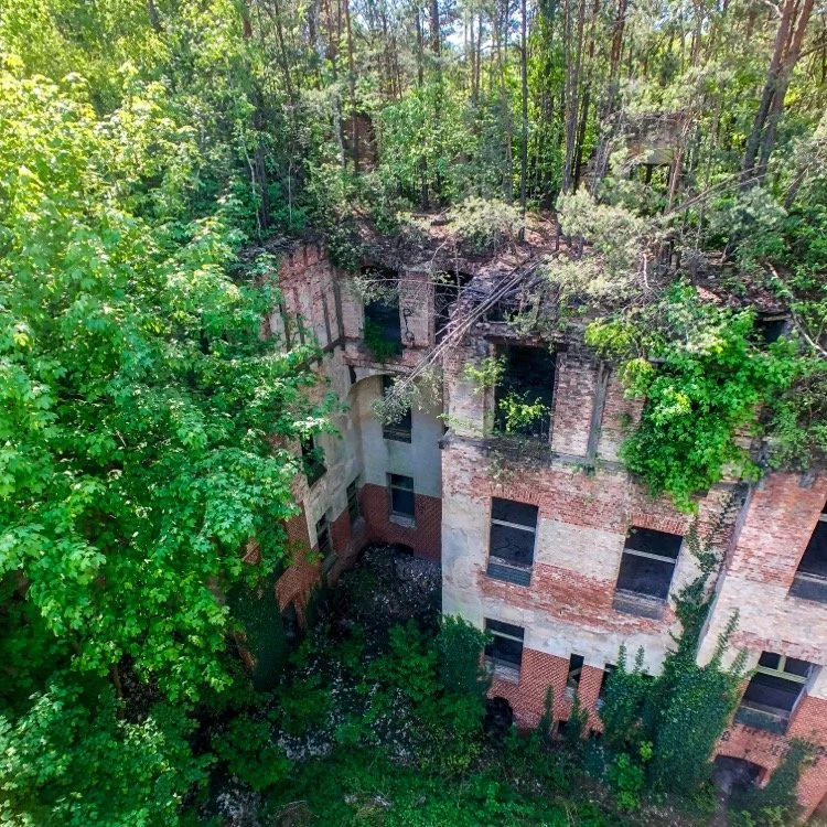 Abandoned Beelitz Heilstätten Canopy Walkway