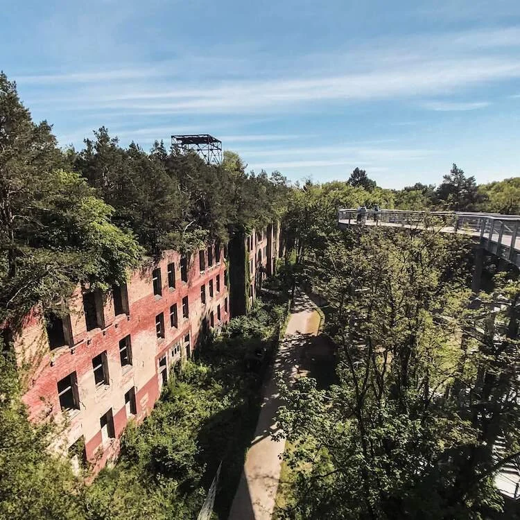 Beelitz Heilstätten Baumkronenpfad