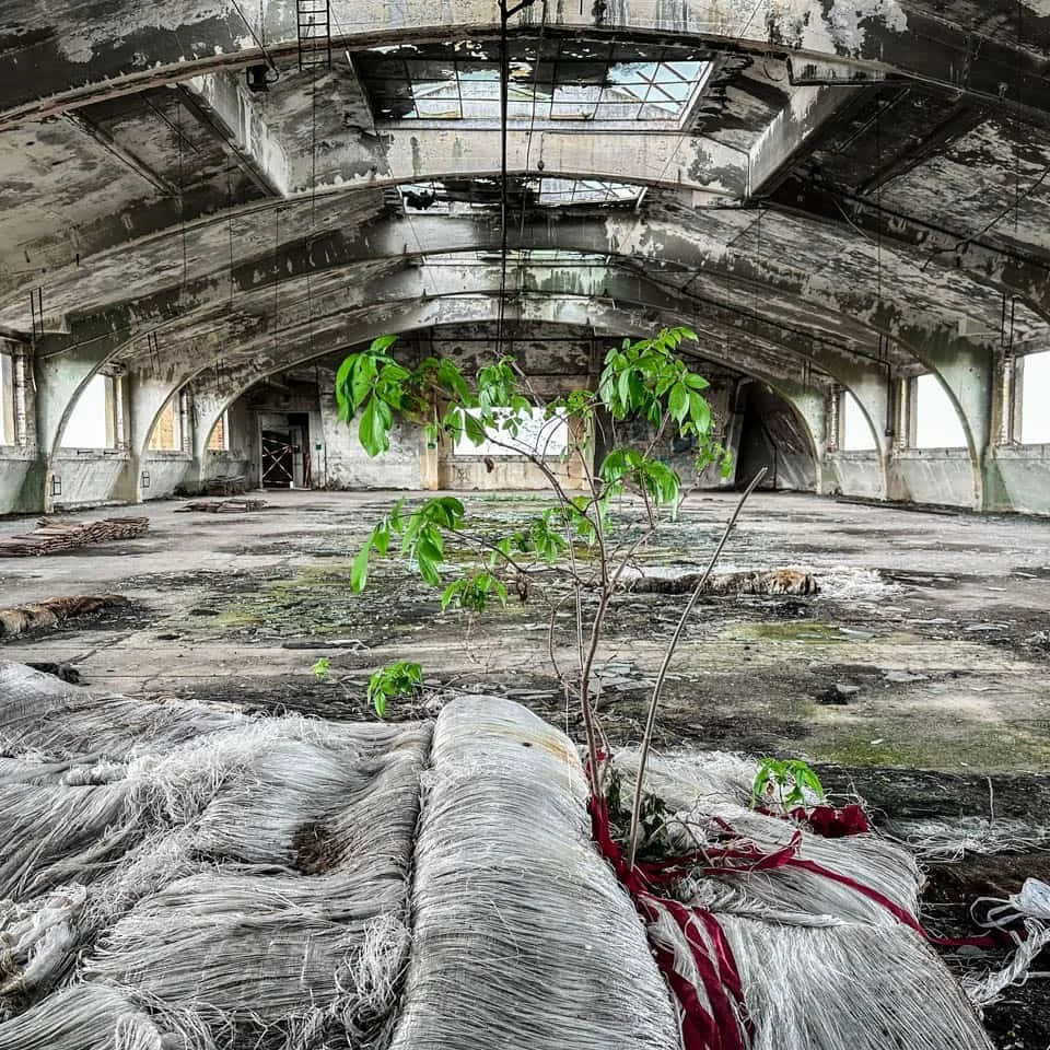 These bolts of cloth survived almost have a century