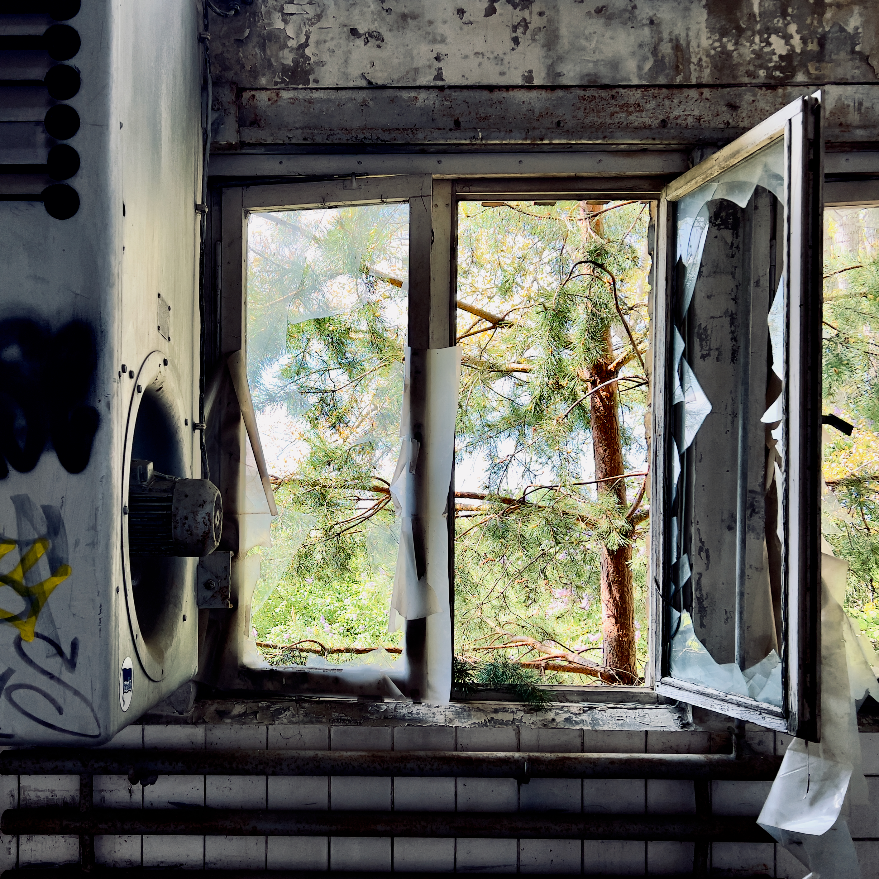 Peeking into an abandoned building at the airfield Rangsdorf
