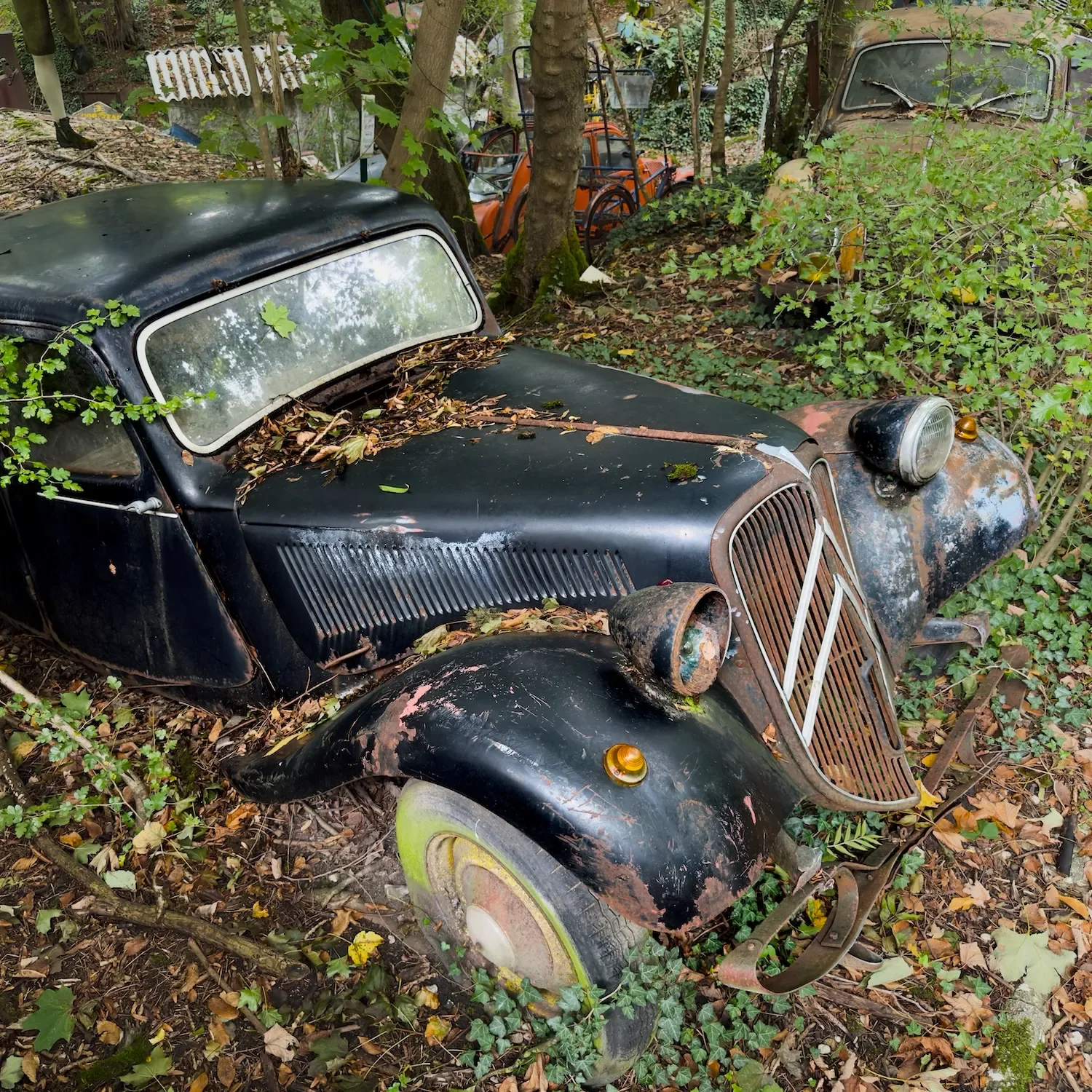 Citroen Traction Avant at its final parking position at the classic car graveyard in Germany