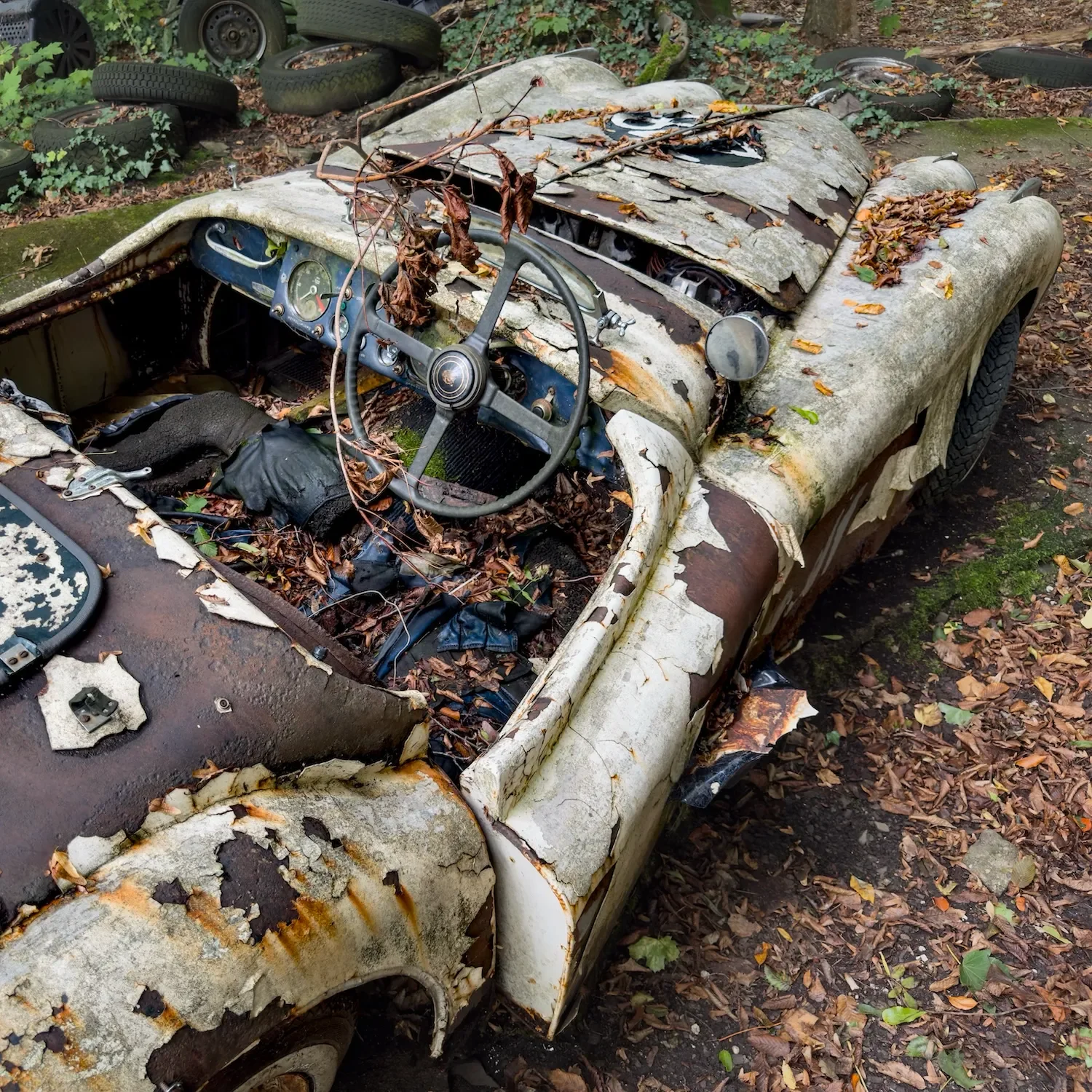 A decaying Jaguar XK 120 at a classic car graveyard