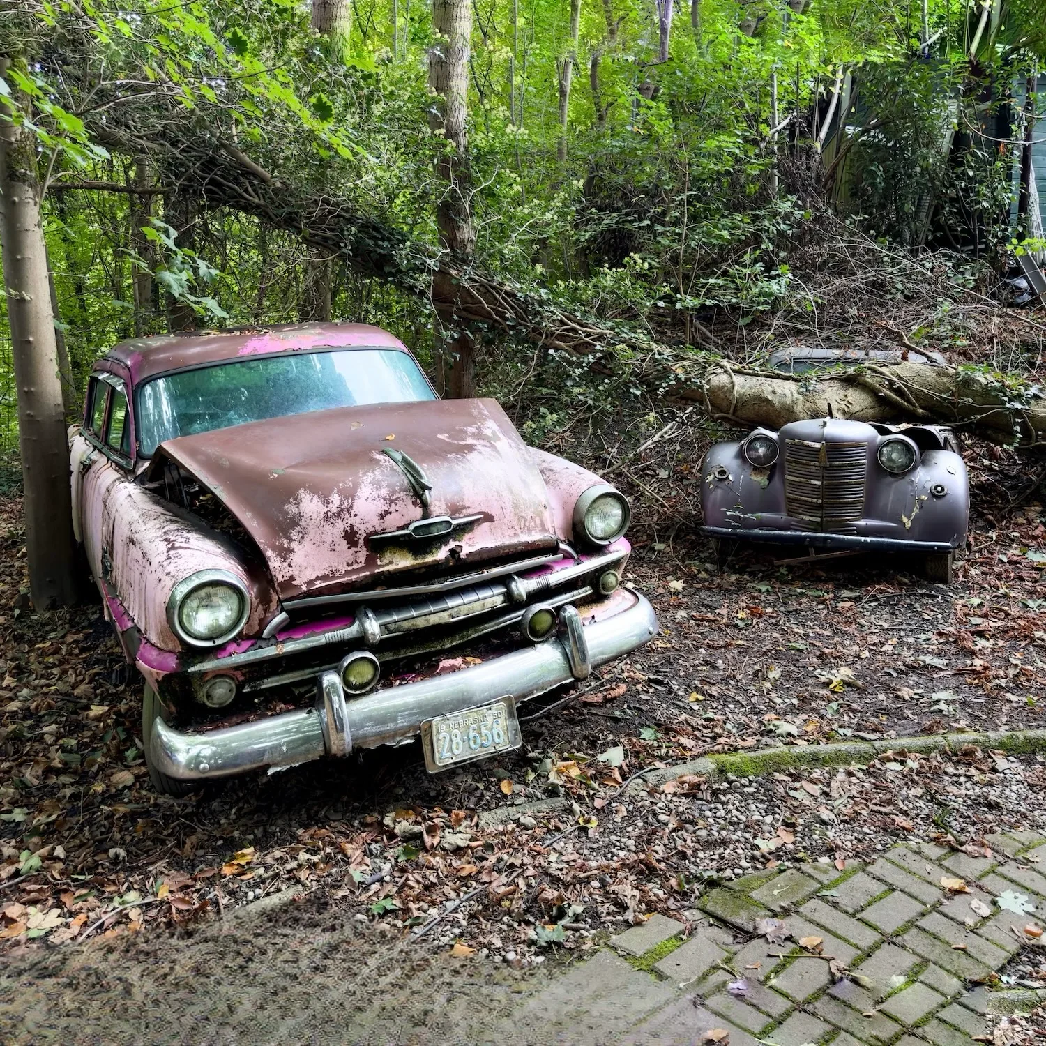 Two classic cars with major accidents: an Oldsmobile 88 (left) and a Moskvitch 400-420 (right)