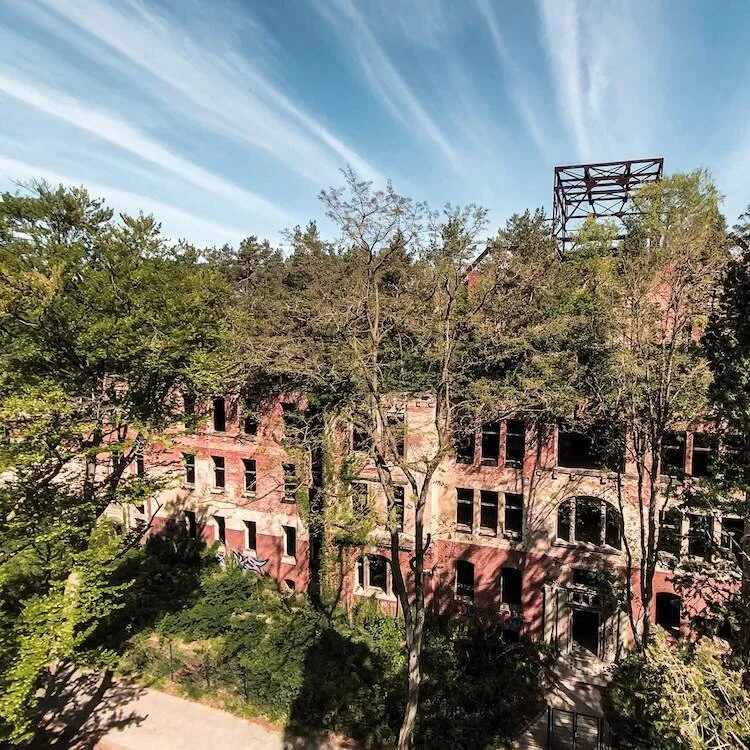 Rooftop forest at Beelitz Heilstätten