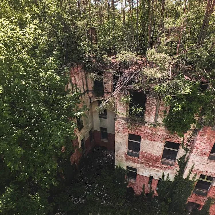View of the abandoned building and rooftop forest