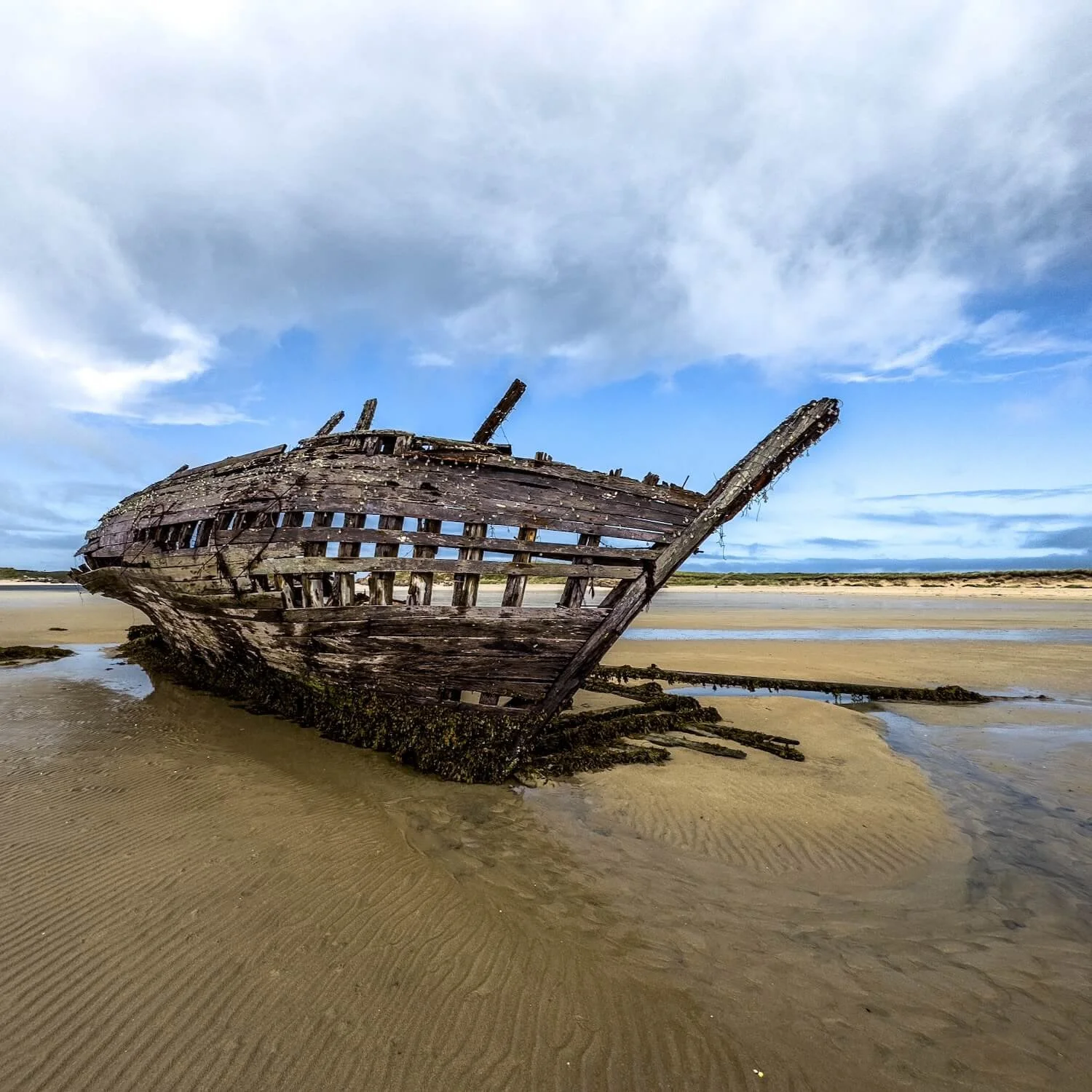 Bad Eddie, Ireland