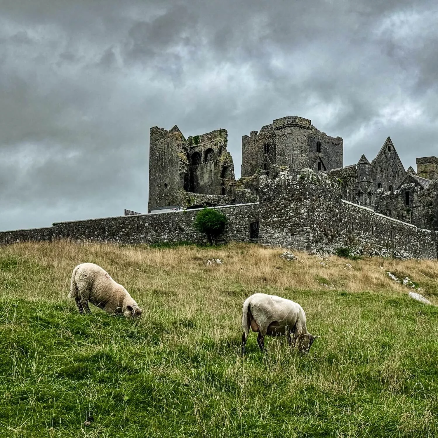 Rock of Cashel, Ireland