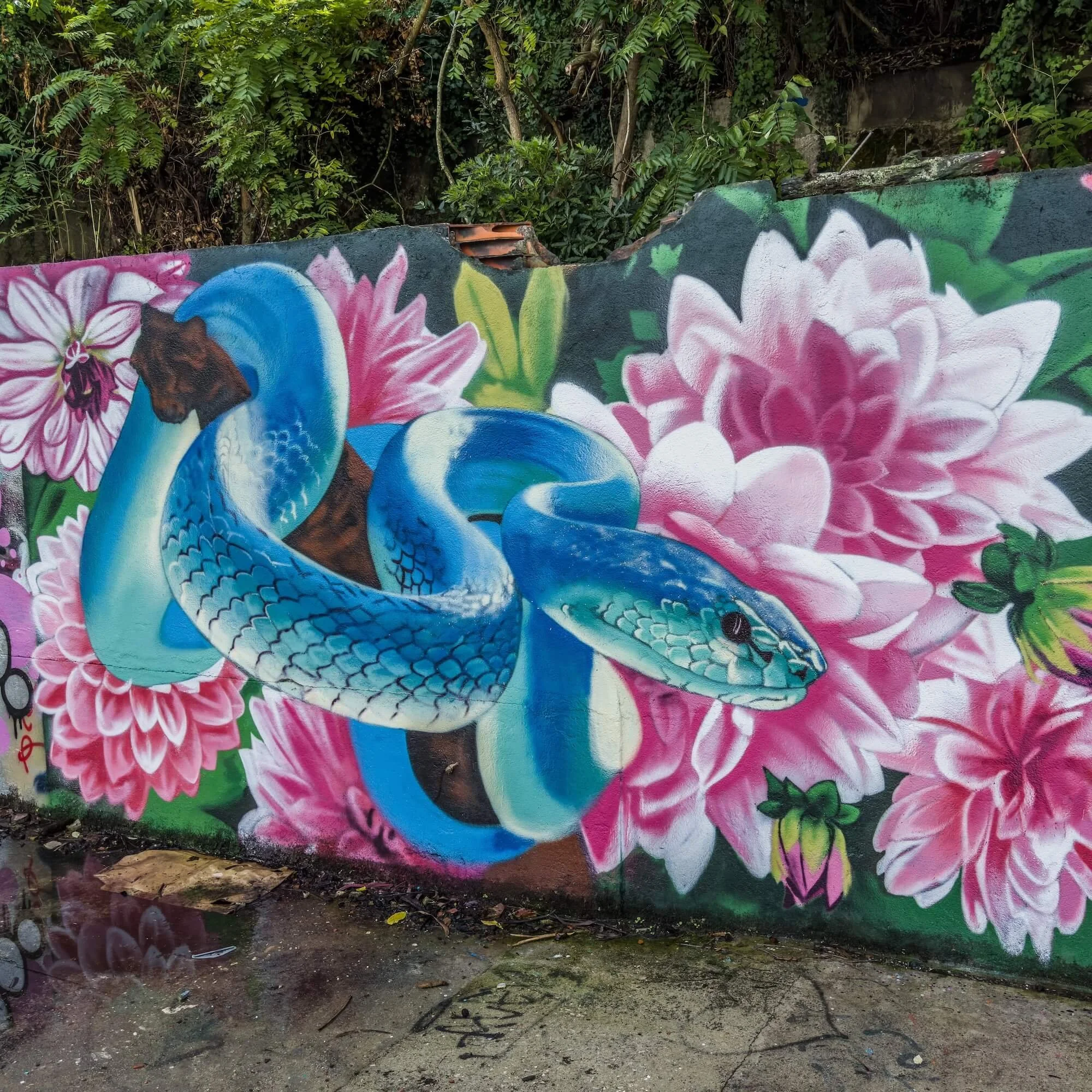 You&rsquo;ll see many beautiful graffitis at the abandoned winery in Almada.