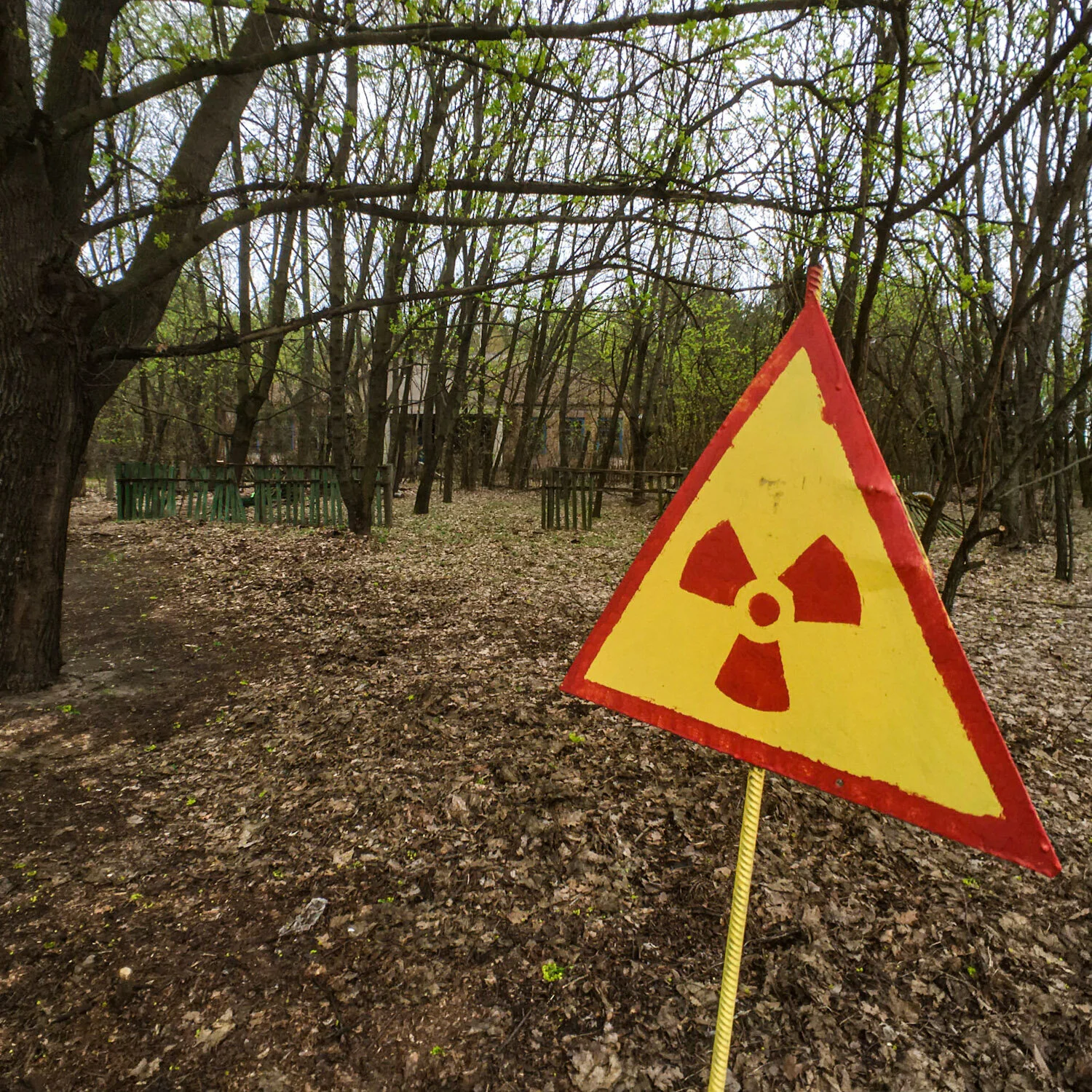 High radiation area in the Chernobyl Exclusion Zone