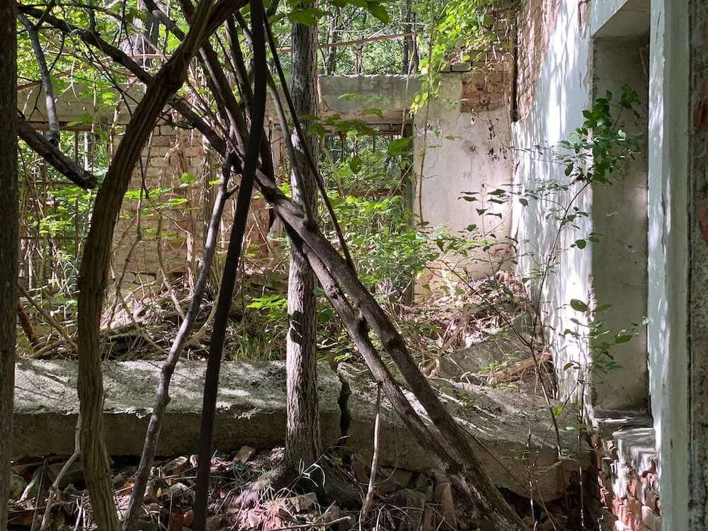 Lost Place shot on iPhone 11 telephoto lens