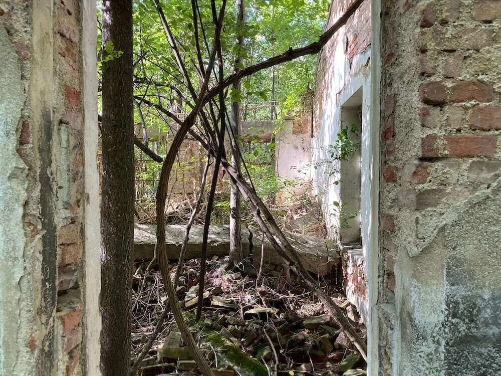 Lost place shot on iPhone 11 wide lens