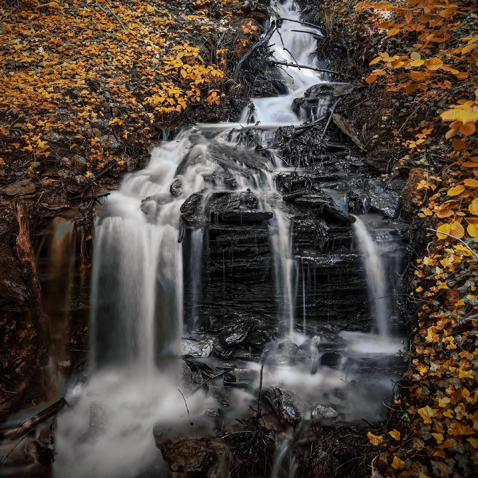 Floating creek, Austria, shot on Reeheld camera app