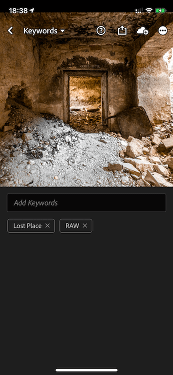 Tagging Photo in Lightroom Mobile